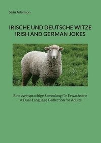 bokomslag Irische Und Deutsche Witze