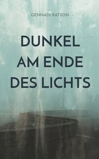 bokomslag Dunkel am Ende des Lichts