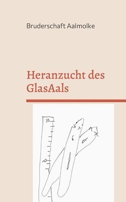 Heranzucht des GlasAals 1