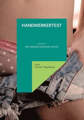 bokomslag Handwerkertest