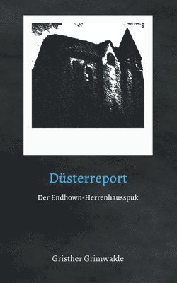 bokomslag Dsterreport - Der Endhown-Herrenhausspuk