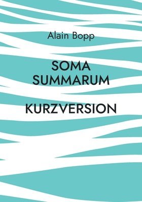 Soma Summarum Kurzversion 1