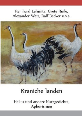 Kraniche landen 1