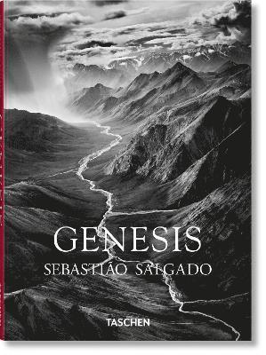 bokomslag Sebastião Salgado. Genesi
