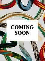 Niccolini. Houses and Monuments of Pompeii. 45th Ed.