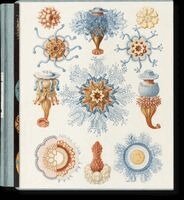 Julia Voss, Rainer Willmann - Art and Science of Ernst Haeckel, Inbunden
