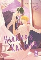 bokomslag Hirano & Kagiura 04