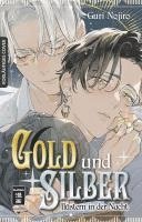 bokomslag Gold und Silber flüstern in der Nacht