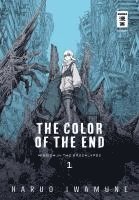 bokomslag The Color of the End 01