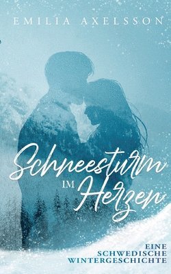 bokomslag Schneesturm im Herzen