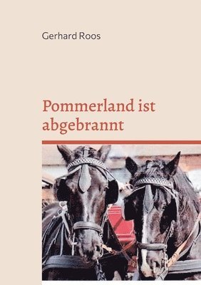 Gerhard Roos - Pommerland ist abgebrannt, Häftad
