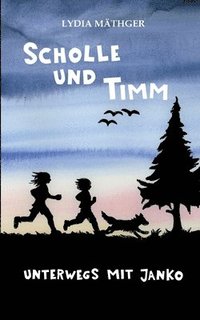 bokomslag Scholle und Timm