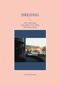 bokomslag Dreißig