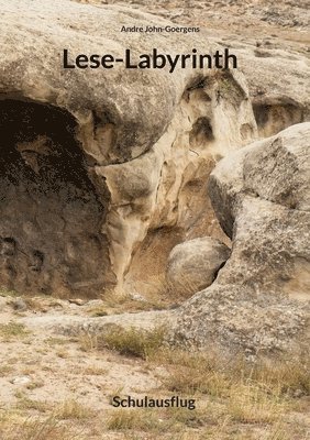Andre John-Goergens - Lese-Labyrinth, Häftad