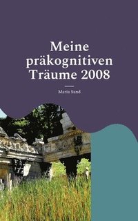 bokomslag Meine prakognitiven Traume 2008