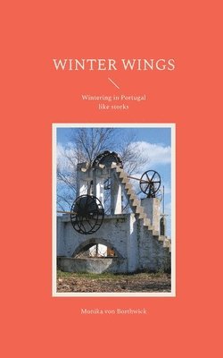 Winter Wings 1