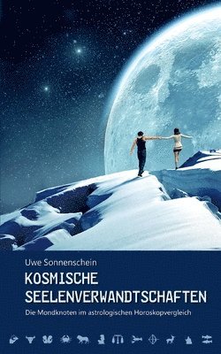 bokomslag Kosmische Seelenverwandtschaften