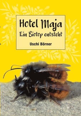 Hotel Maja 1