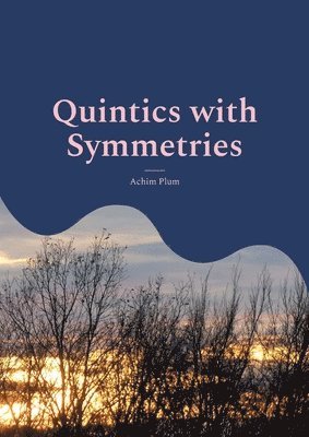 Quintics with Symmetries 1