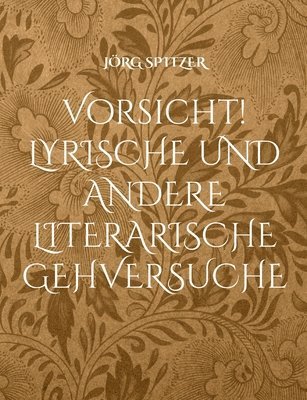 bokomslag Vorsicht! Lyrische und andere literarische Gehversuche