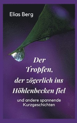 bokomslag Der Tropfen, der zgerlich ins Hhlenbecken fiel