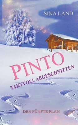 bokomslag Pinto - Der fnfte Plan