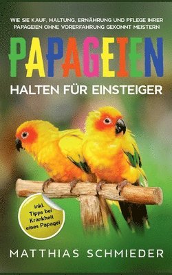 Matthias Schmieder - Papageien halten für Einsteiger, Häftad