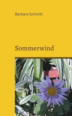 bokomslag Sommerwind