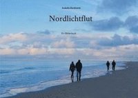 bokomslag Nordlichtflut