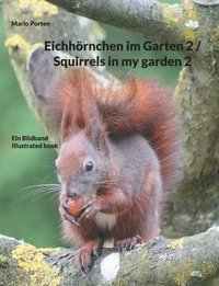 bokomslag Eichhrnchen im Garten 2 / Squirrels in my garden 2