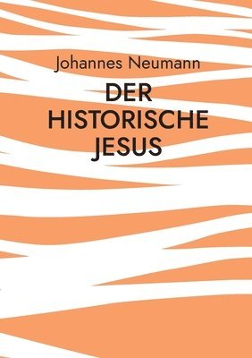 bokomslag Der historische Jesus