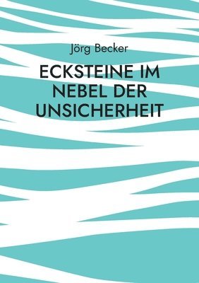 bokomslag Ecksteine im Nebel der Unsicherheit