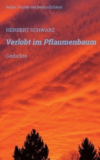 bokomslag Verlobt im Pflaumenbaum