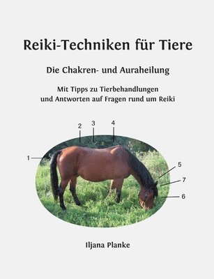 Iljana Planke - Reiki-Techniken für Tiere - Die Chakren- und Auraheilung, Häftad
