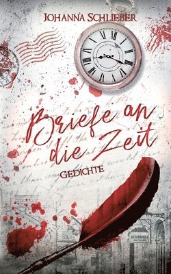 Johanna Schließer - Briefe an die Zeit, Häftad