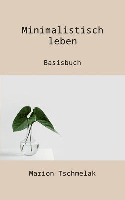 bokomslag Minimalistisch leben