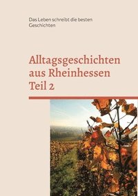 bokomslag Alltagsgeschichten aus Rheinhessen Teil 2