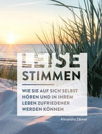 bokomslag Leise Stimmen (SW-Edition)