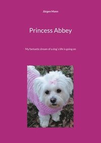 bokomslag Princess Abbey