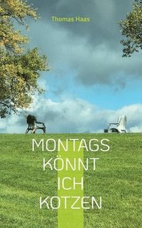 bokomslag Montags knnt ich kotzen