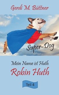 bokomslag Mein Name ist Huth, Robin Huth