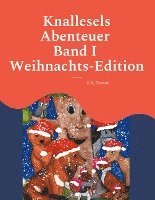bokomslag Knallesels Abenteuer Band I Weihnachts-Edition