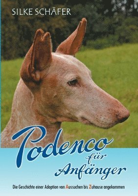 bokomslag Podenco fr Anfnger