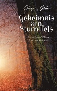 bokomslag Geheimnis am Sturmfels