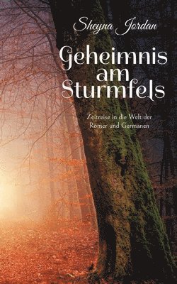 Geheimnis am Sturmfels 1