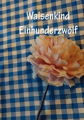 Waisenkind Einhundertzwölf