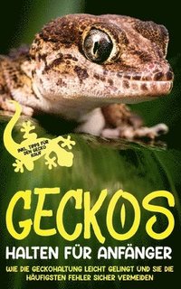 bokomslag Geckos halten fur Anfanger