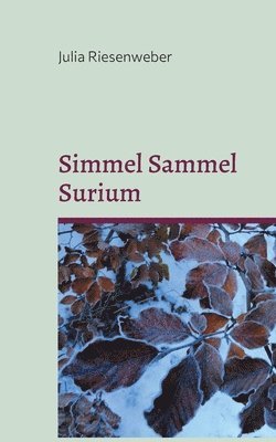 Simmel Sammel Surium 1