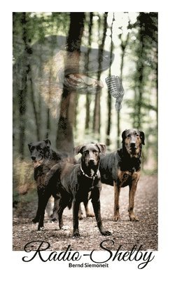 Bernd Siemoneit - Radio-Shelby, Häftad