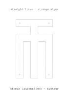 Thomas Laubenberger-Pletzer - straight lines - strange signs, Häftad